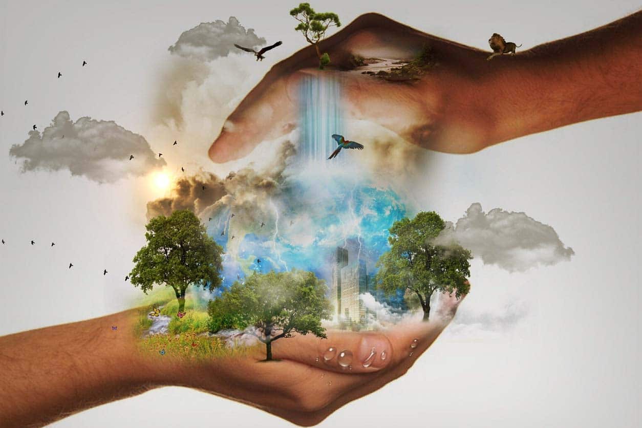 Ökologische Auswirkungen unserer Ernährung